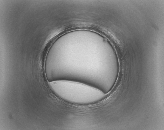 X0000116861261200912220935