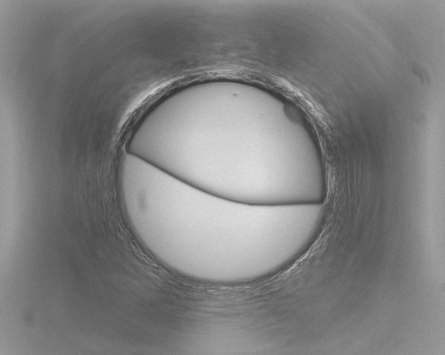 X0000116861262200912220935