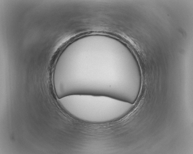 X0000116861263200912220935