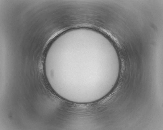 X0000116861266200912220935