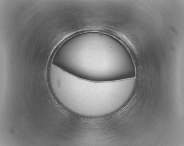 X0000116861268200912220935