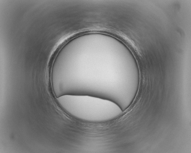 X0000116861270200912220935