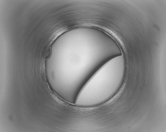 X0000116861289200912220935