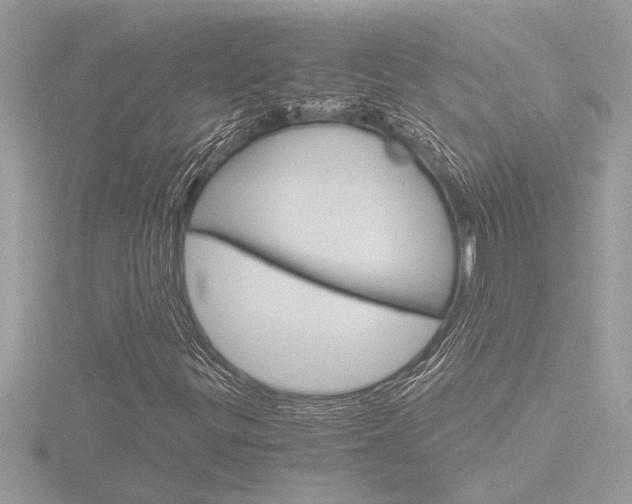 X0000116861299200912220934