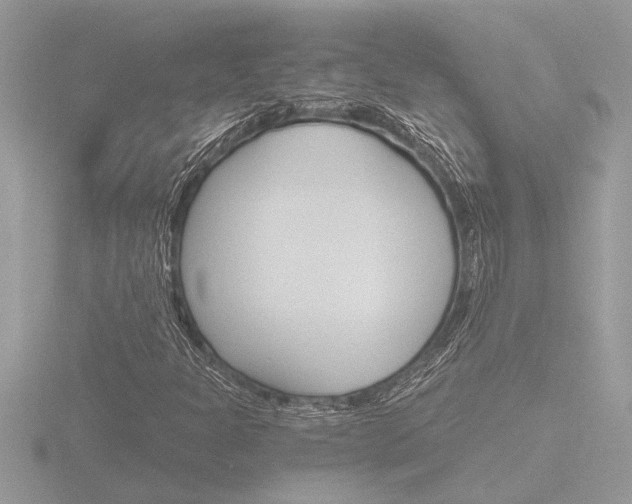 X0000116861301200912220934