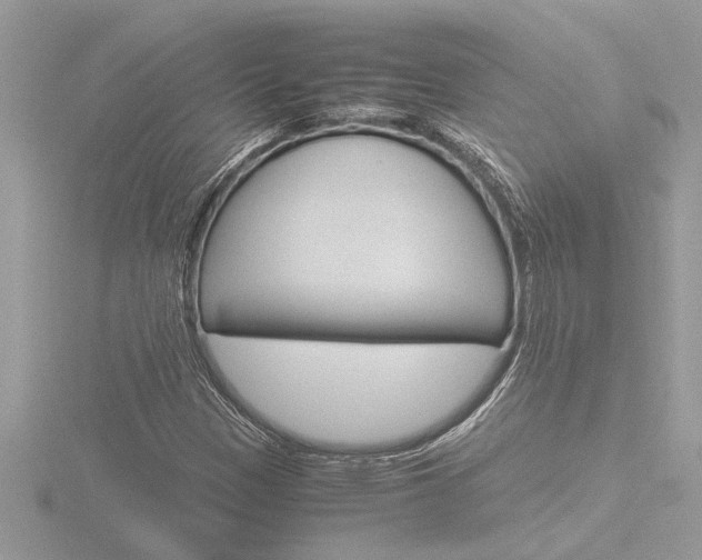 X0000116861305200912220934