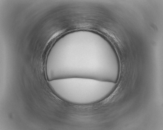 X0000116861306200912220934