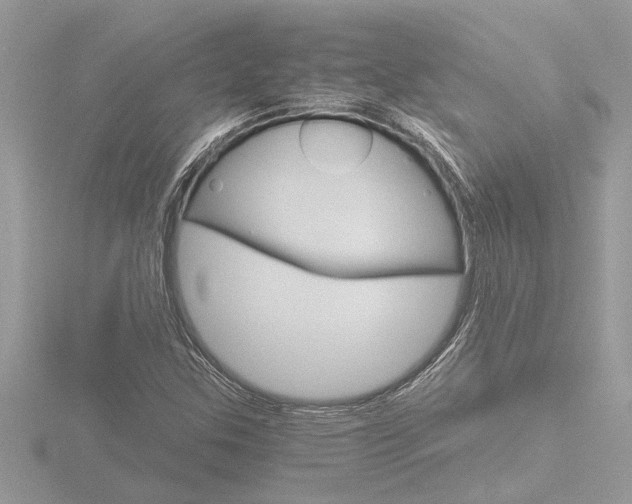 X0000116861307200912220934