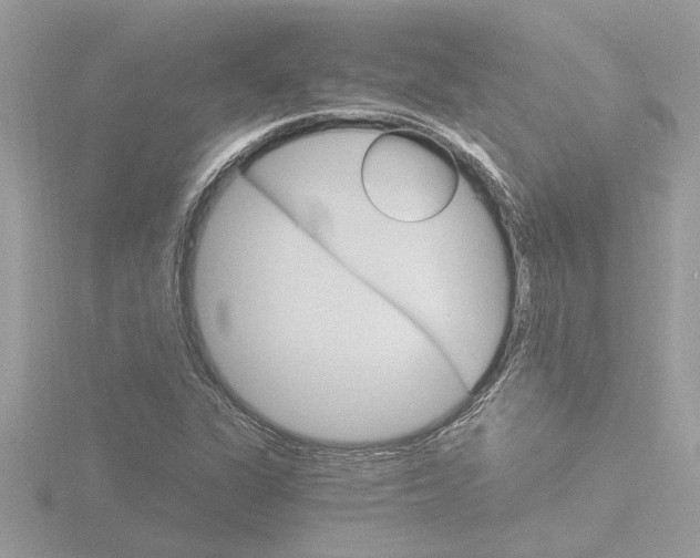X0000116861311200912220934
