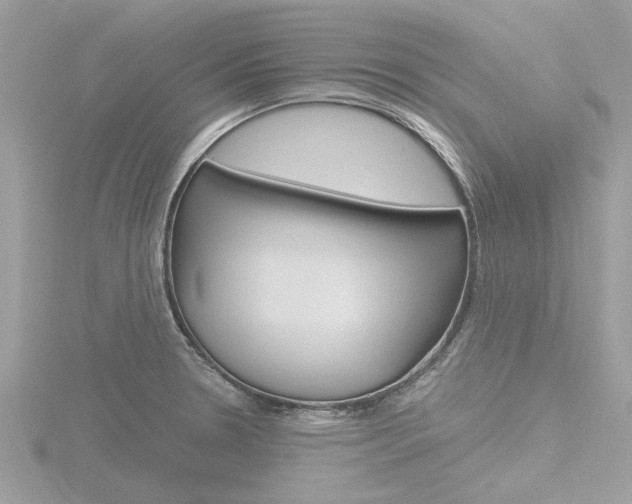 X0000116861330200912220935