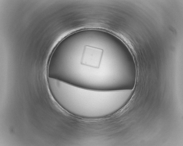 X0000116861342200912220935