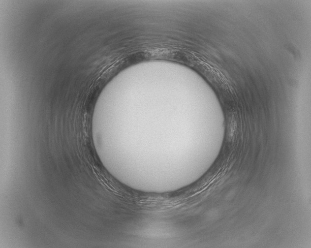X0000116861346200912220934