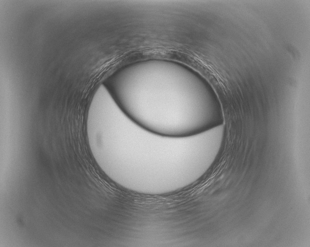 X0000116861348200912220934