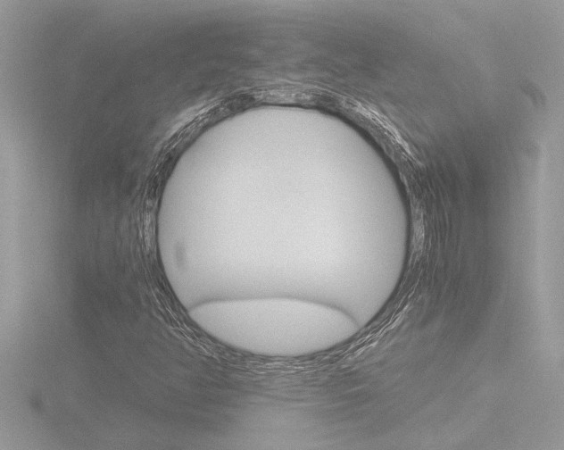 X0000116861350200912220934