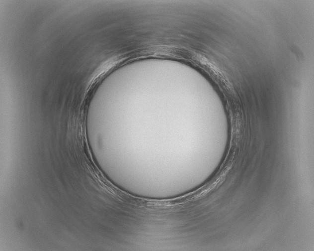 X0000116861354200912220934