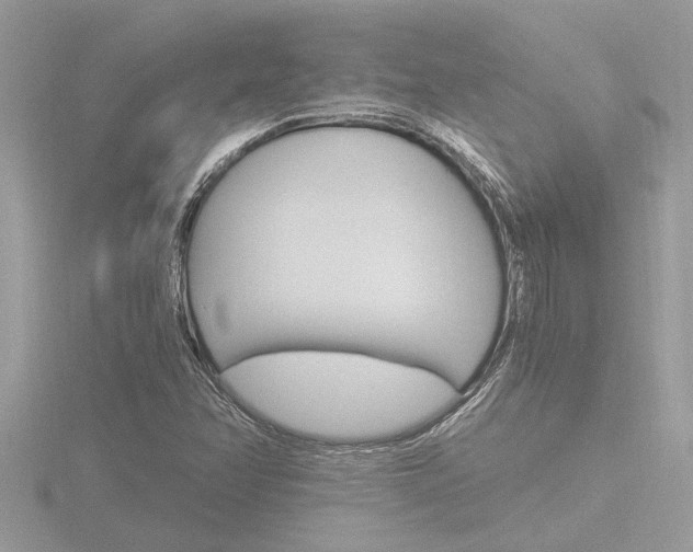 X0000116861358200912220934