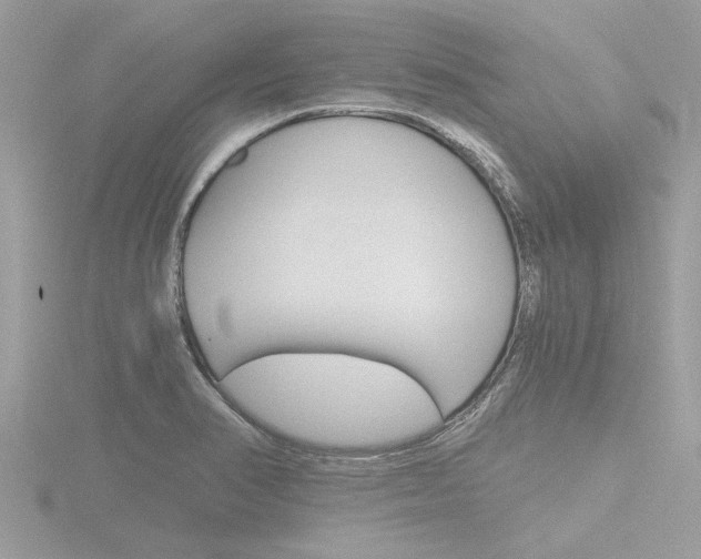 X0000116861374200912220934