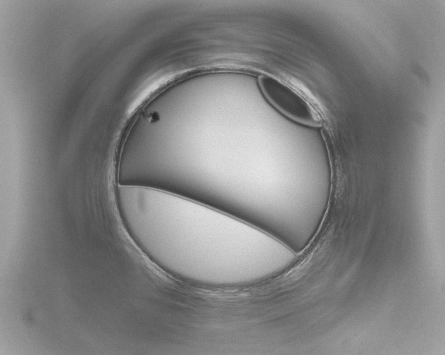 X0000116861384200912220934