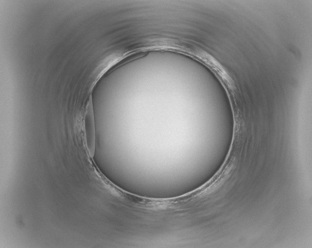 X0000116861385200912220934