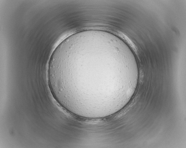 X0000116861386200912220934
