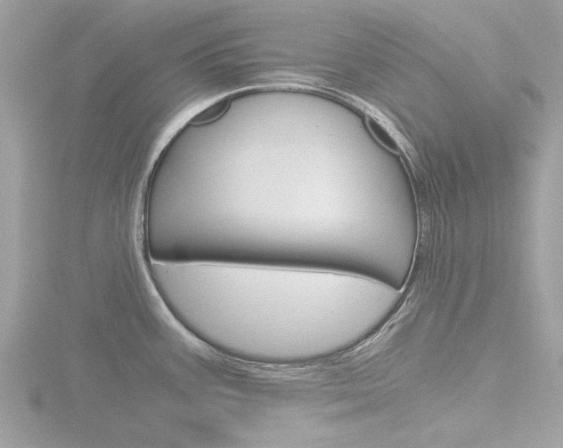 X0000116861387200912220934
