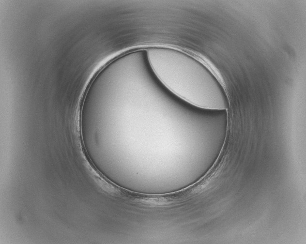 X0000116861388200912220934