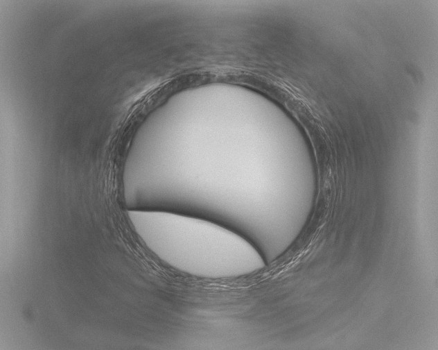 X0000116861398200912220933