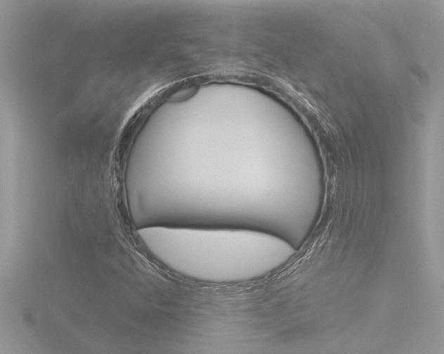 X0000116861400200912220933