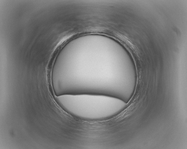 X0000116861404200912220933