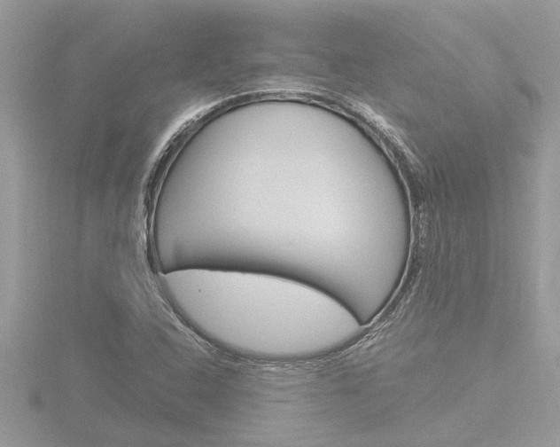 X0000116861408200912220933