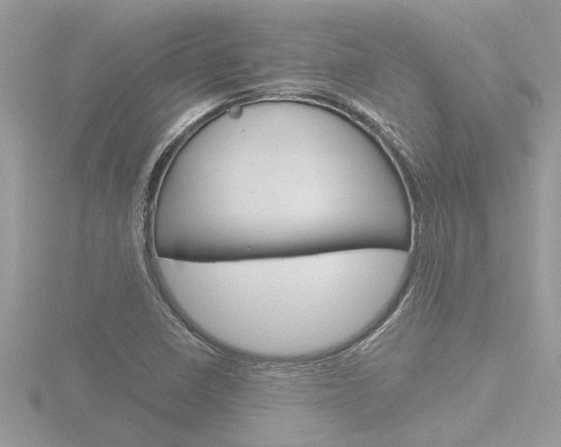 X0000116861410200912220933