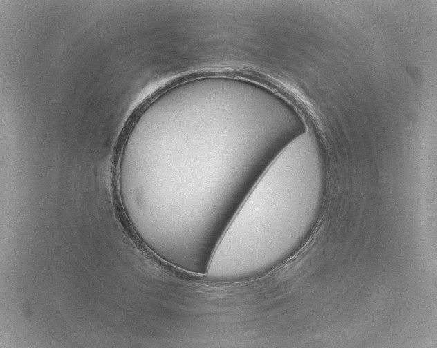 X0000116861412200912220933