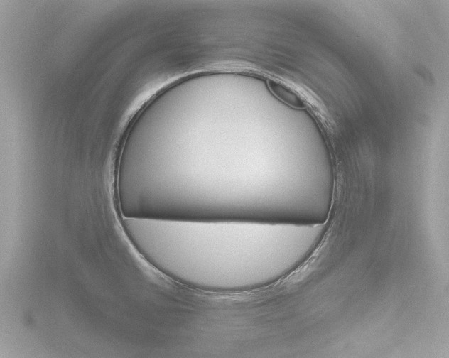 X0000116861430200912220933