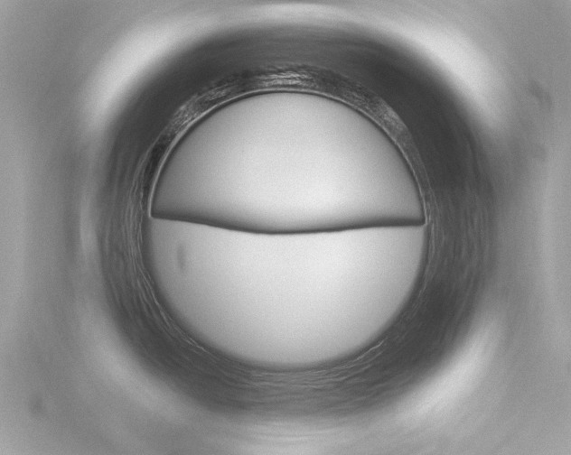X0000116861438200912220934
