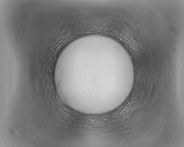 X0000116861441200912220933