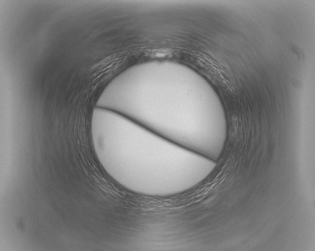 X0000116861442200912220933