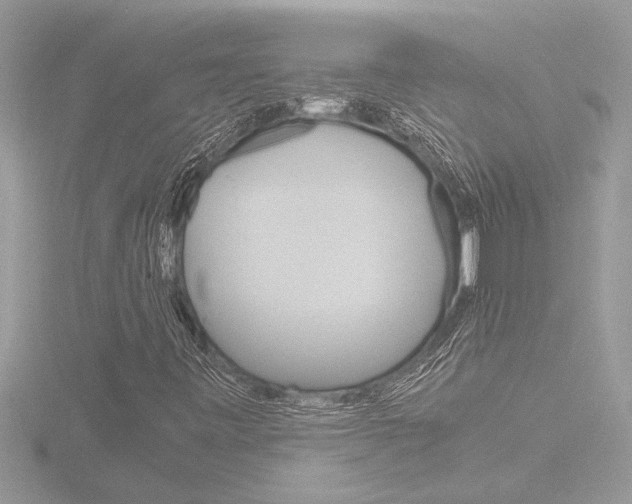 X0000116861443200912220933