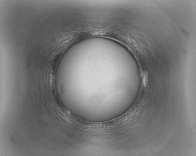 X0000116861444200912220933