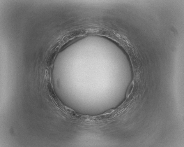 X0000116861445200912220933