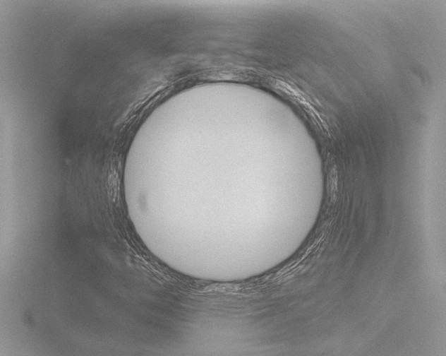 X0000116861446200912220933
