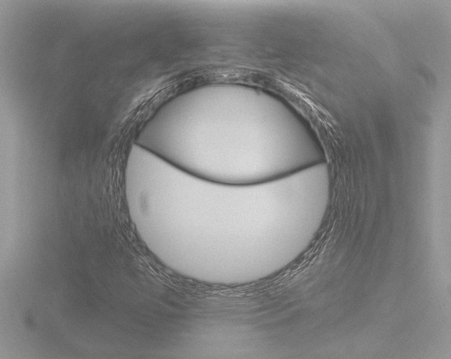 X0000116861447200912220933