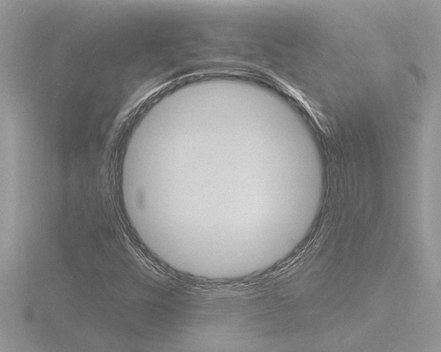 X0000116861448200912220933