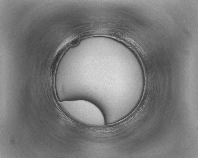 X0000116861450200912220933