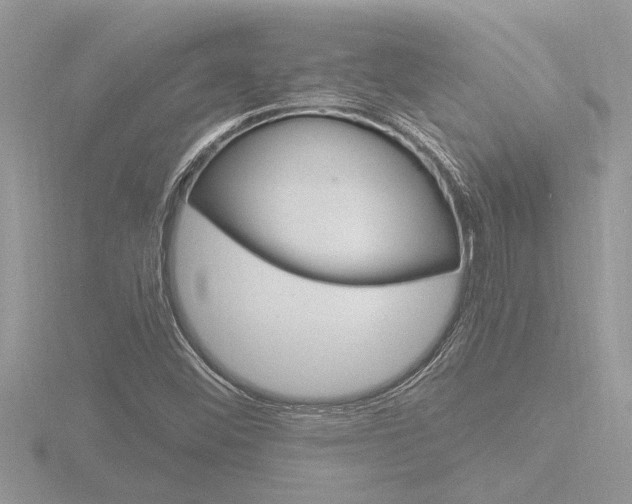 X0000116861452200912220933