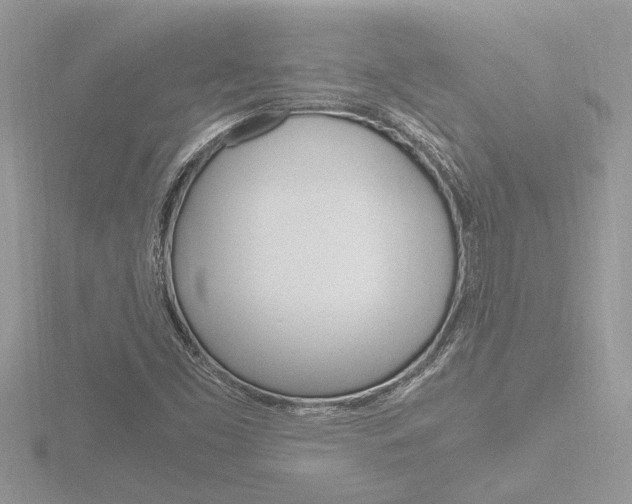 X0000116861453200912220933