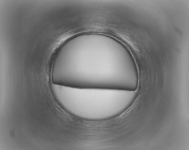 X0000116861455200912220933