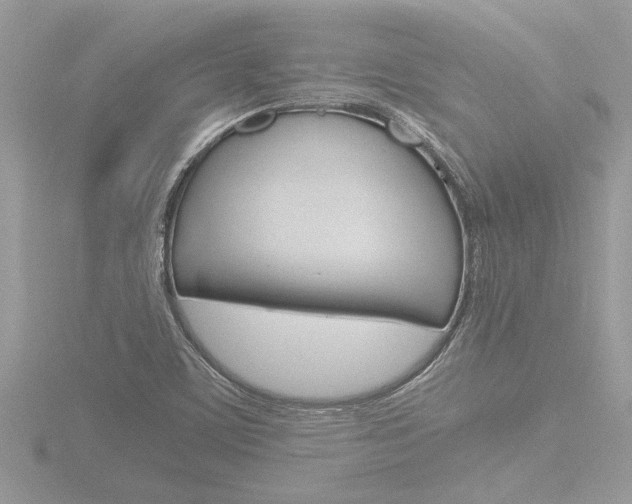 X0000116861459200912220933