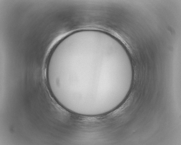 X0000116861462200912220933