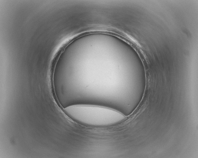 X0000116861464200912220933