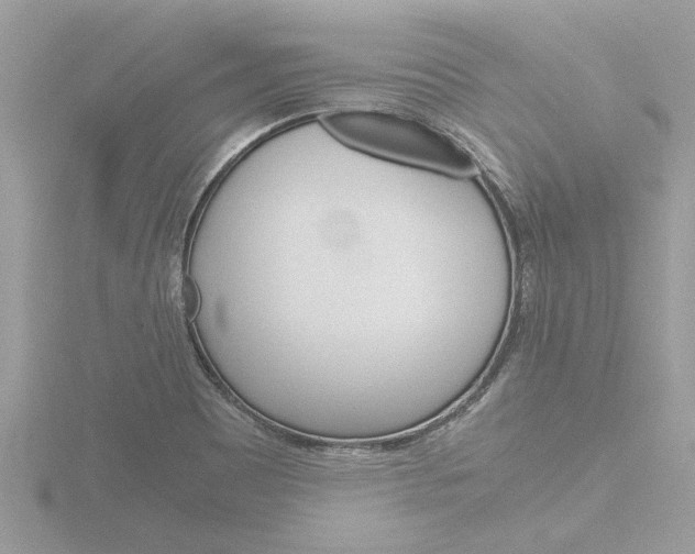 X0000116861465200912220933